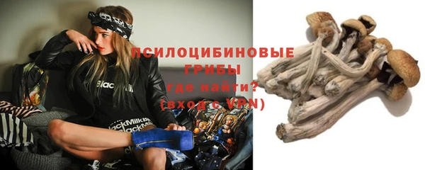 прущие грибы Инсар
