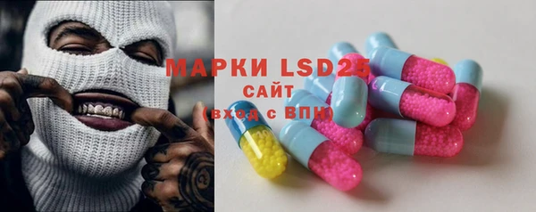 прущие грибы Инсар