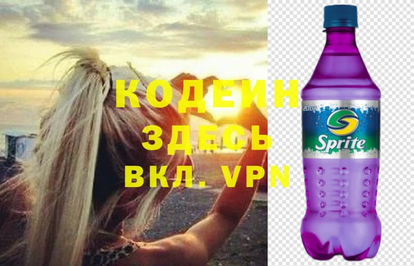 прущие грибы Инсар