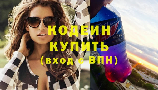 прущие грибы Инсар
