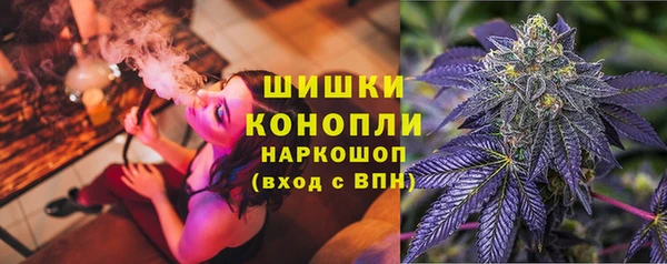 прущие грибы Инсар
