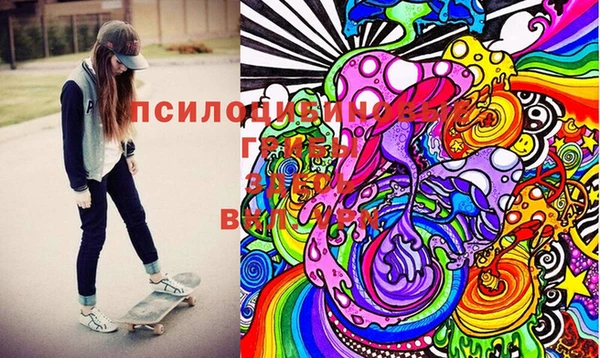 марки lsd Инта