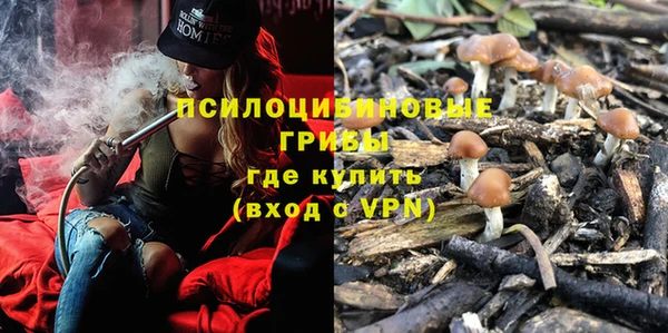 ешки Иннополис